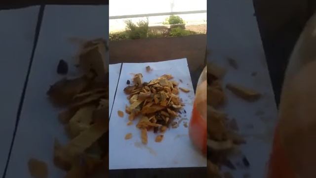 Красим декоративную щепу смотреть онлайн