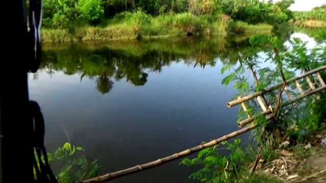 Spot Ikan Kakap Monster dan Ikan Toman di Tegal смотреть онлайн