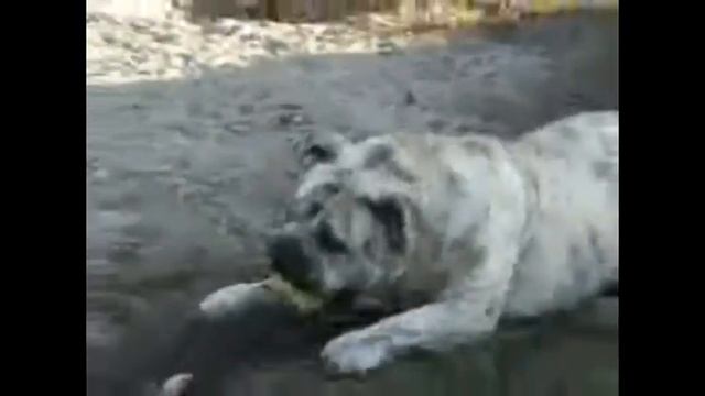 Agat Margarita 2004r.mpg смотреть онлайн