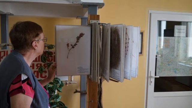 Чудеса Турова смотреть онлайн