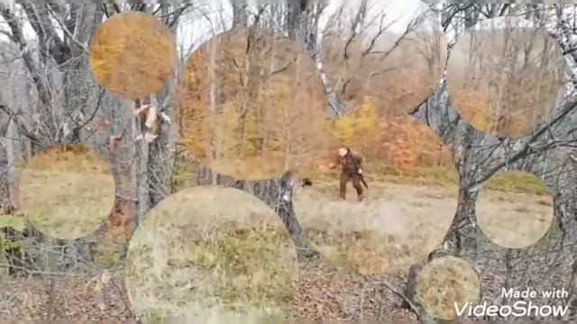 BECCACCE IN BULGARIA CON CACCIA NEI BALCANI смотреть онлайн