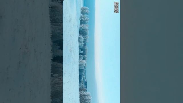 Красноярск, зима, рыбейка…❄️ #снастиздрасьте смотреть онлайн