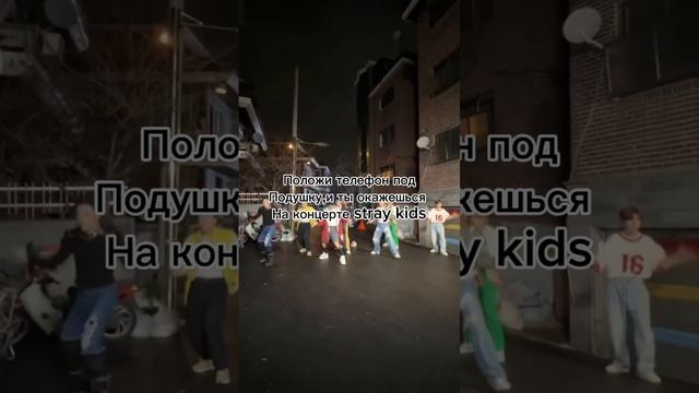 По просьбе:33 #kpop #кпоп #рекомендации #skz #straykids #skzedit #skzoo #рек #fyp #sclass смотреть онлайн