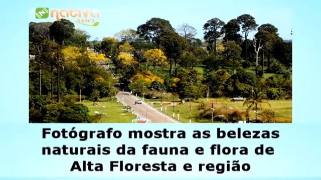 Jovem fotógrafo mostra as belezas naturais da fauna e flora de Alta Floresta e região.avi смотреть онлайн