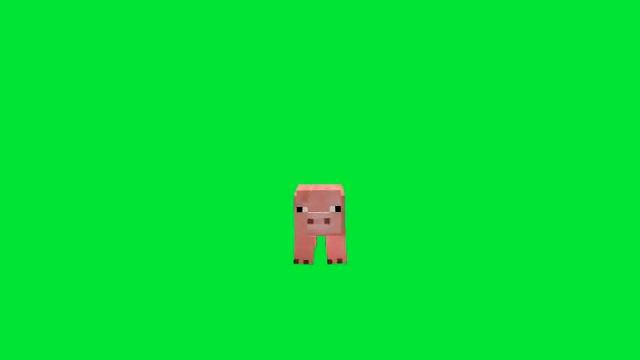 Pig Minecraft Green Screen Chroma Key Animation