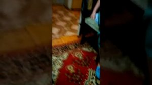 Кошка мышеловка