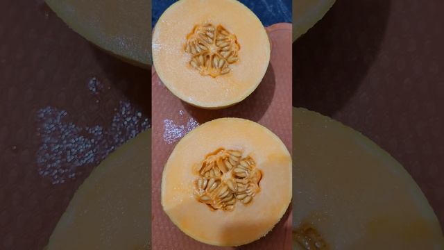 Купили дыню в Индии. Гоа. Арамболь. #melon смотреть онлайн