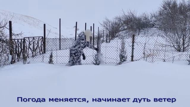 Зачем зимой поехали на дачу.