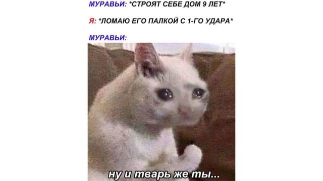 Свежие Мемы от Кабанчика 48 смотреть онлайн