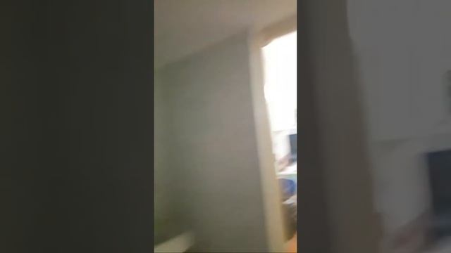 Amlgos Del Flamenco смотреть онлайн