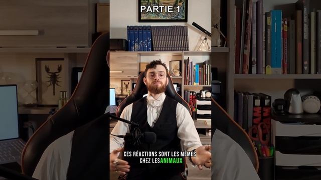 [P1/2] La néoglucogenèse. смотреть онлайн