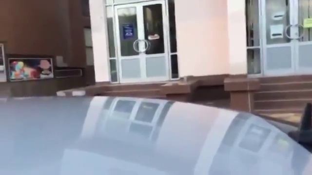 Борзые бабы против борзого кавказца смотреть онлайн