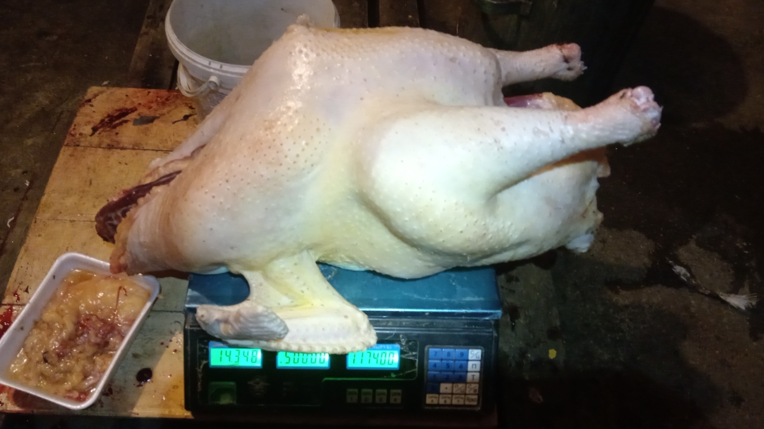 Вес индейки бронза северо-кавказская в 1.5 года смотреть онлайн