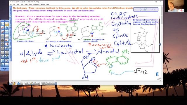 zoom Chem242 11 30 20 Segment 1 смотреть онлайн