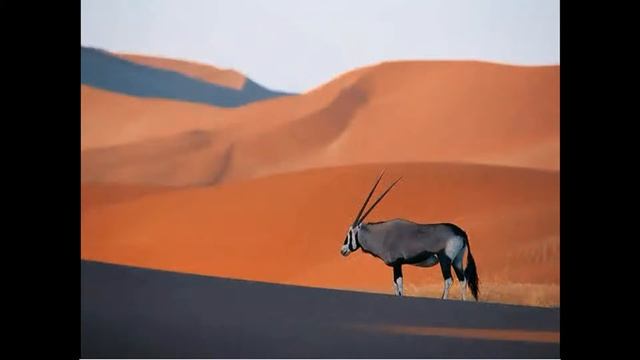 Windows Vista Latino Sample Pictures Sidebar Version смотреть онлайн