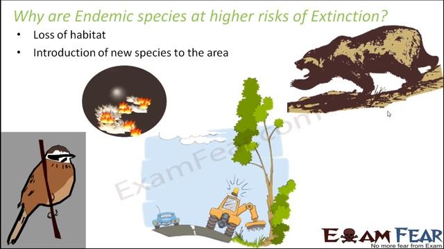 NEET Biology Ecology : Endemic Species & Species Extinction смотреть онлайн