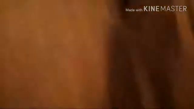 Моя собака играет в снежок! 🐕 смотреть онлайн