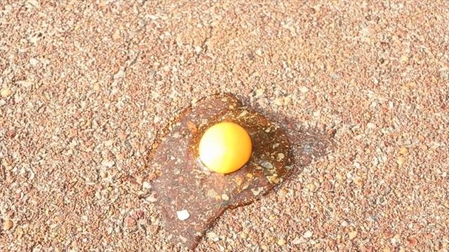 How To Cook an Egg in Australia смотреть онлайн