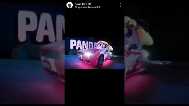 Secret Life Of Pets Two “panda”