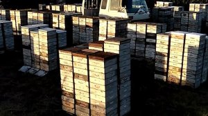 отбор меда 2020