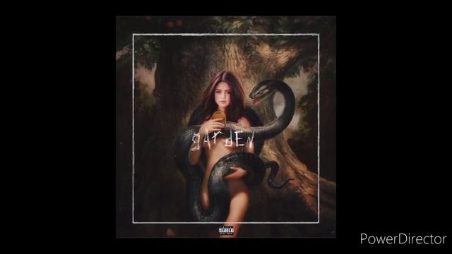 Selena Gomez - Congratulations your never satisfied ft Ayo215 смотреть онлайн