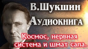 Василий Шукшин. Космос, нервная система и шмат сала. Аудиокнига рассказ  #литература