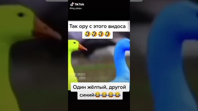 Жили у бобуси 2 весёлых гуся один жёлтый.... смотреть онлайн