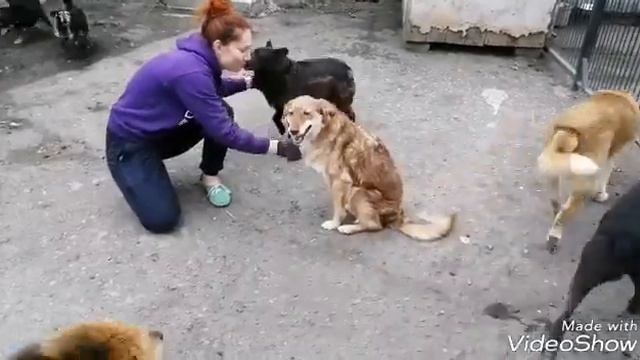 Помогите расчесаться смотреть онлайн