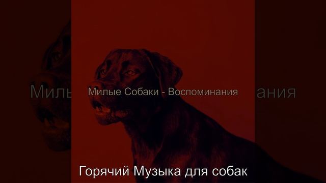 Музыка (Спящие собаки) смотреть онлайн