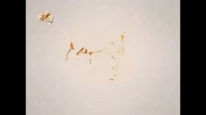 Where’s Lunch/Worldwide Pants/HBO IP/Lean-M OOO/Sony Pictures Television International/STS (2009)