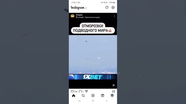 в подводном мире