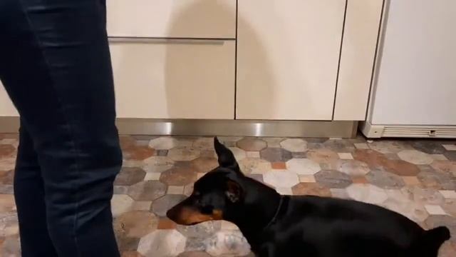 Команда "обними" смотреть онлайн