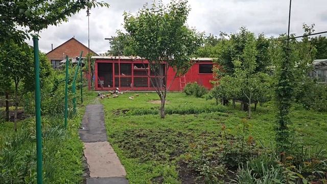 Нет солнца голуби видят хищника смотреть онлайн