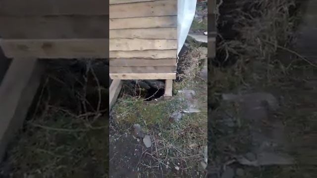 Над бездной смотреть онлайн