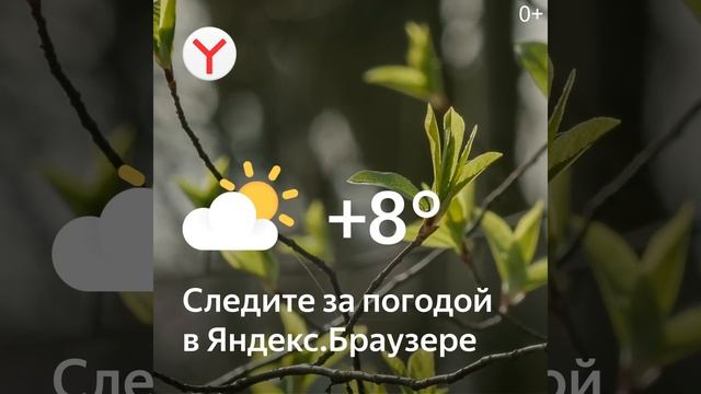 1080x1080 bro weather spring +8 смотреть онлайн