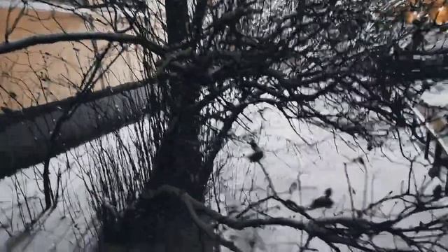 VID 20240420 011330 Песнь пиктов (Редьярд Киплинг)...Павел Васильев Лахтинский смотреть онлайн