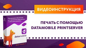 DataMobile3: Печать с помощью DataMobile PrintServer
