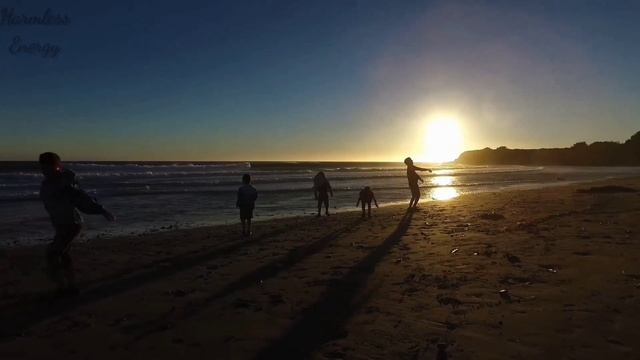 SuNrise - Catharsis (Official Video) || Dog Lovers must watch смотреть онлайн