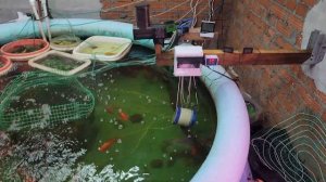 Эксперимент с греющим кабелем для подогрева воды в бассейне с рыбами. Часть 3.