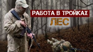 Работа в тройках. Лес