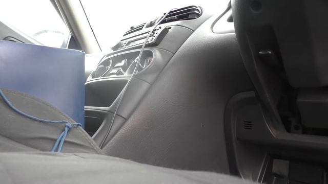 Бродячие собаки на Силикатном смотреть онлайн