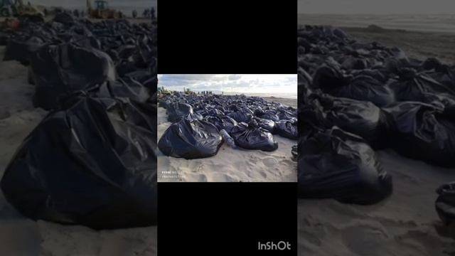 Прости нас, Чëрное море! Песня.