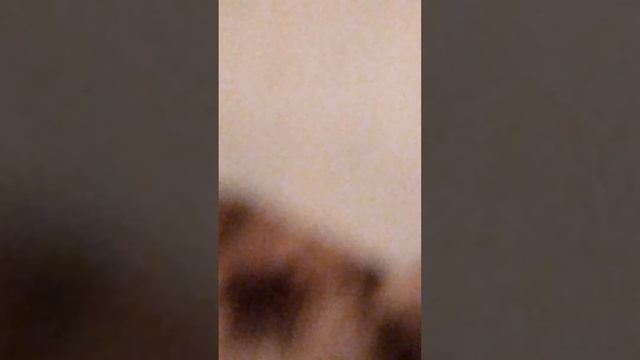 Атака Комаров смотреть онлайн