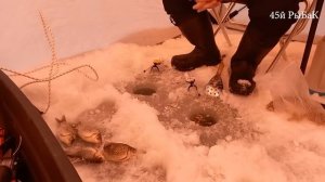 Зимняя рыбалка на карася озеро Половинное Курганская область 11 декабря 2022