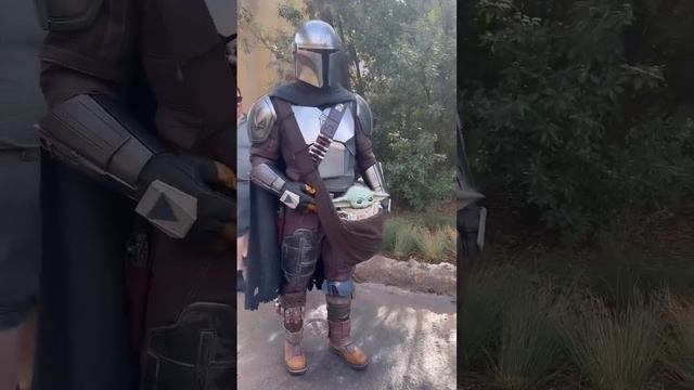 Meet the Mandalorian and Baby Grogu at Hollywood Studios ✨ #disneyparks #disneyworld смотреть онлайн