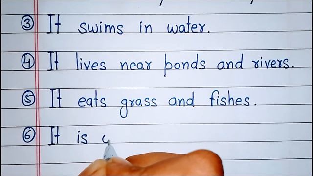 10 lines essay on the duck | Essay on duck | Duck essay in english 10 lines |Duck short essay смотреть онлайн