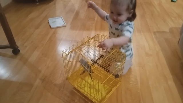 Детям гораздо интереснее рости с животными дома) общение с попугаем)