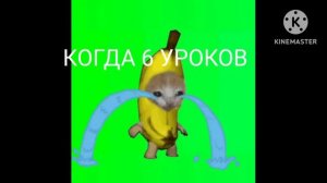 Мем кот банан