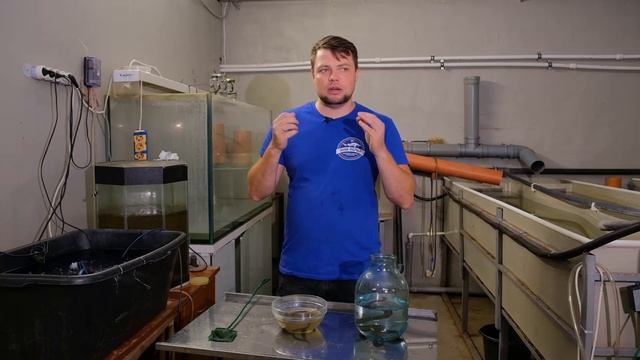 Медицинские пиявки. Выращивание нового гидробионта на Акваферме смотреть онлайн