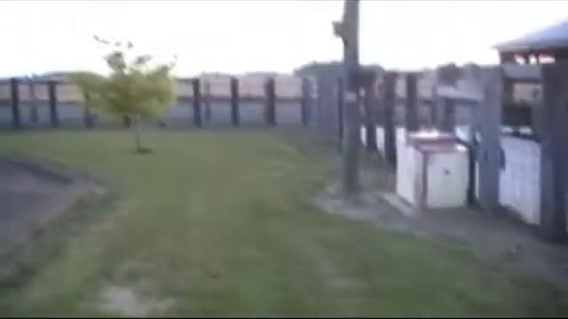 The SECOND Crocodile Hunter смотреть онлайн